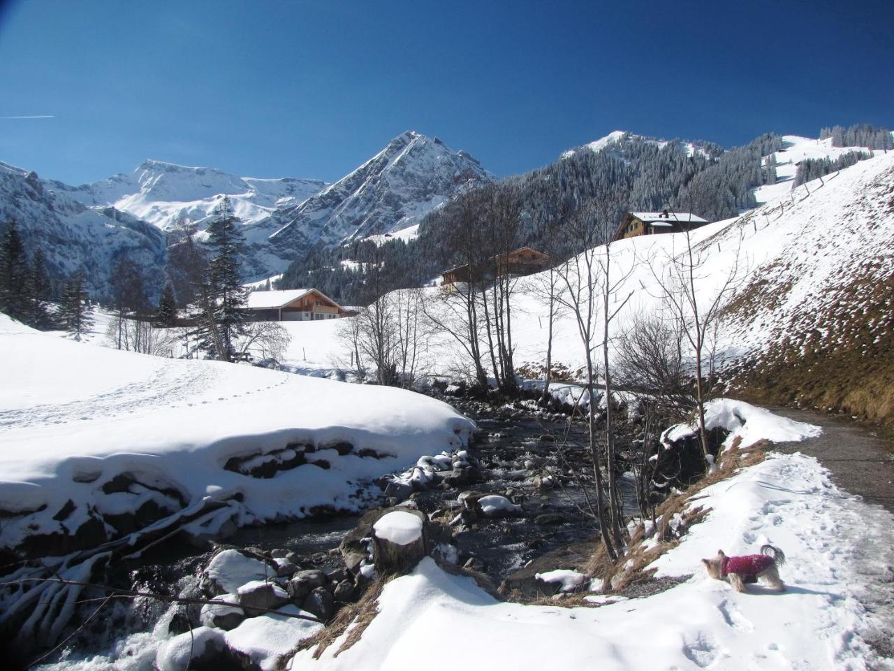 Appartment Andrea Adelboden Bagian luar foto