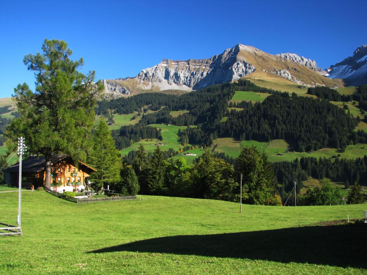 Appartment Andrea Adelboden Bagian luar foto