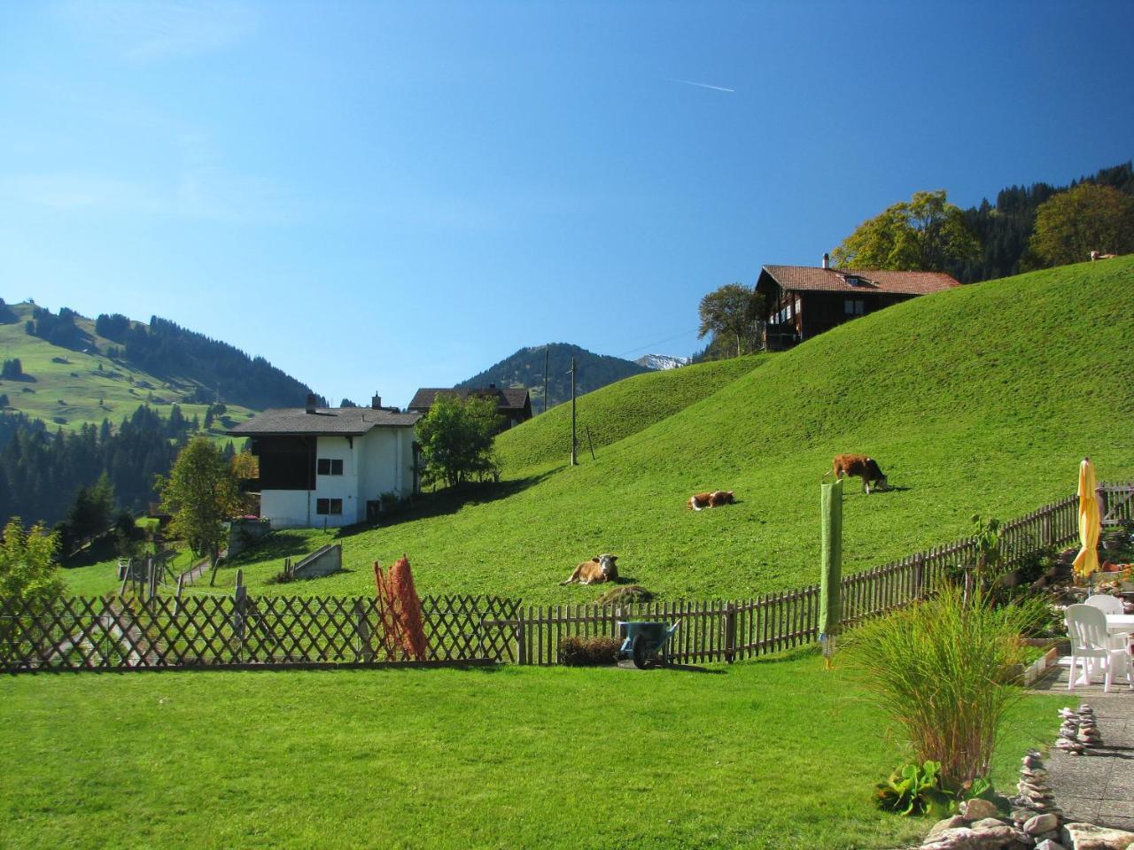 Appartment Andrea Adelboden Bagian luar foto