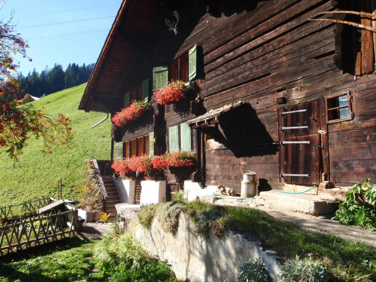Appartment Andrea Adelboden Bagian luar foto