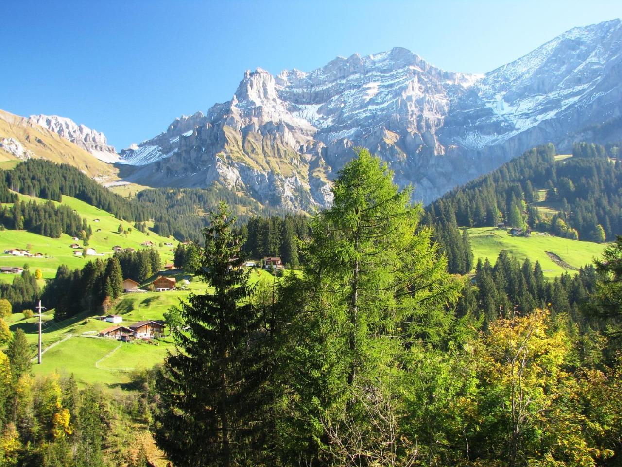 Appartment Andrea Adelboden Bagian luar foto