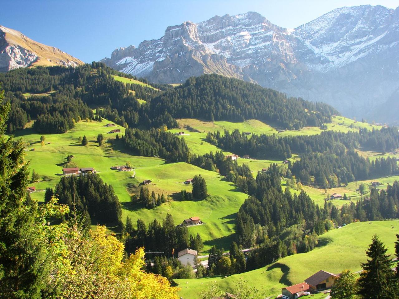 Appartment Andrea Adelboden Bagian luar foto